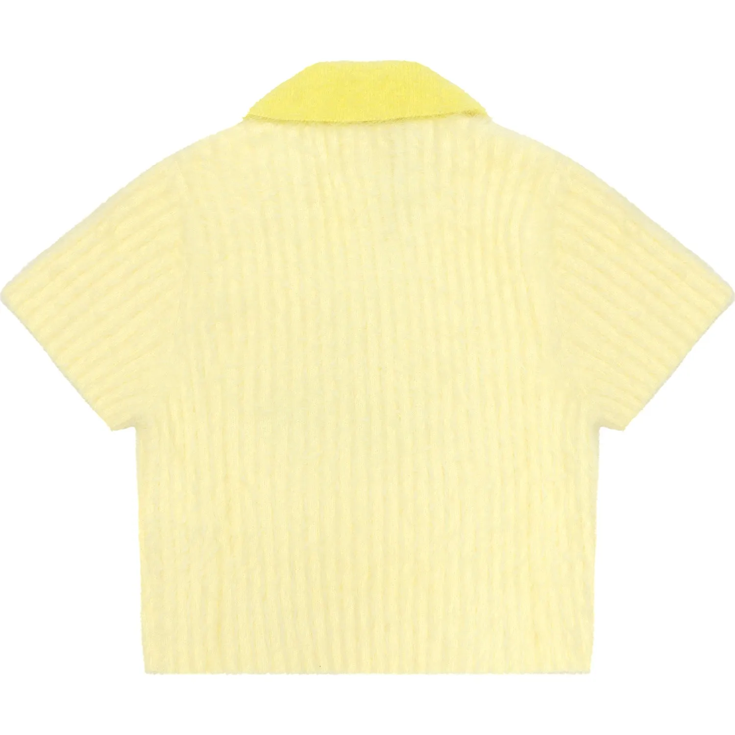 Ribbed Cropped Polo Knit Top for Ladies