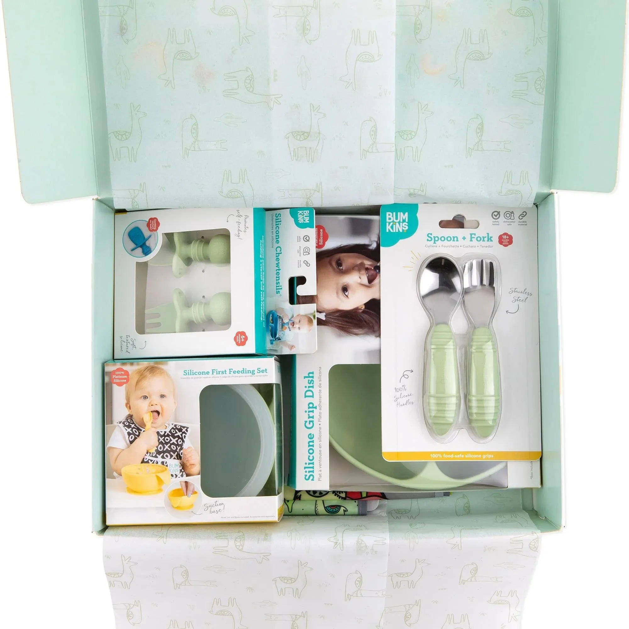 Cacti Llama Gift Set