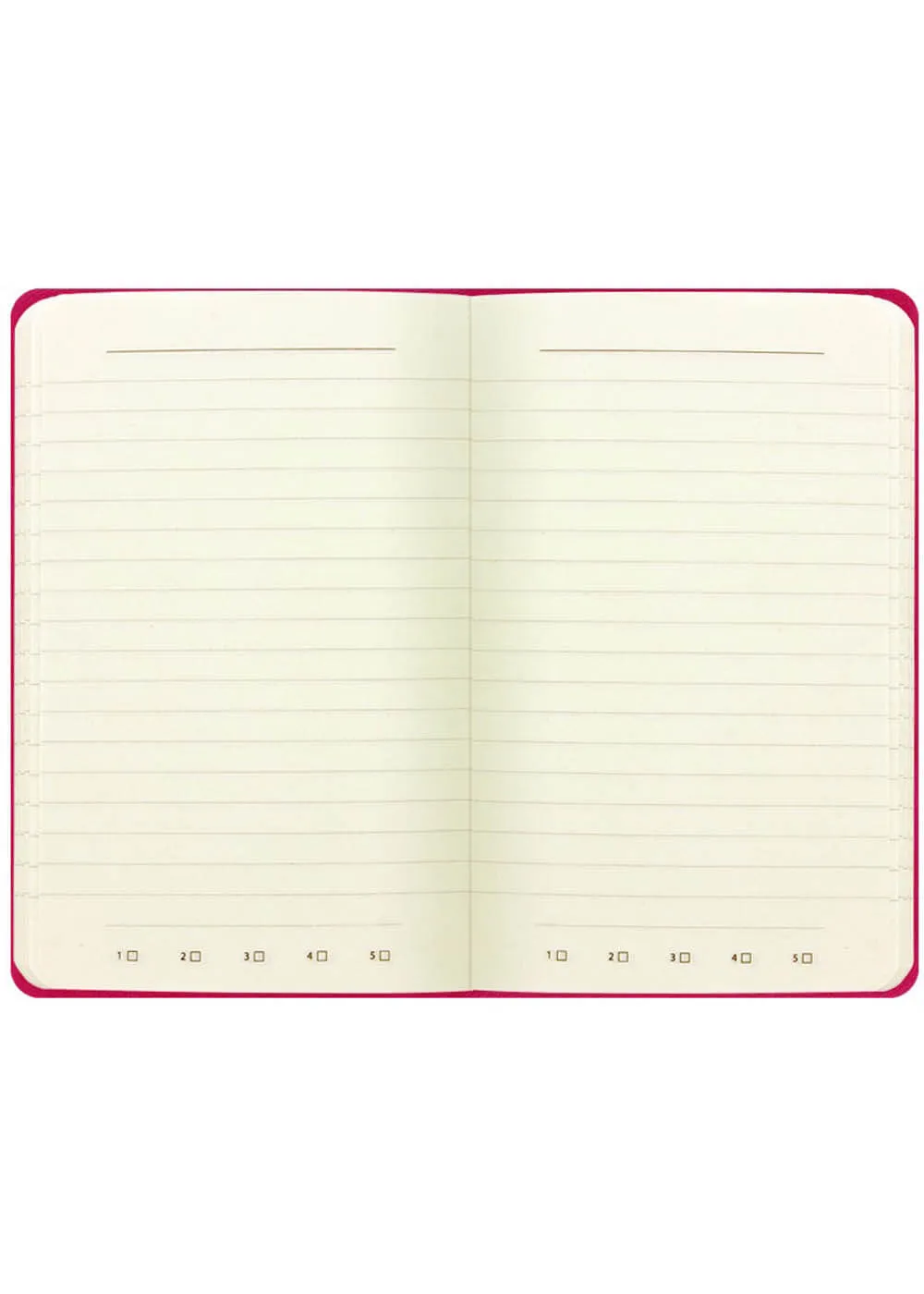 Succubus Gifts A6 Pink Notebook for Self-Love